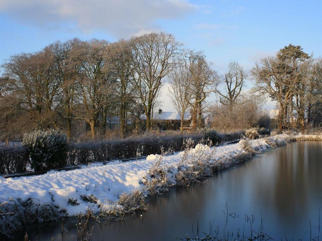 Ballylagan Organic Farm Straid (Antrim) Exterior foto