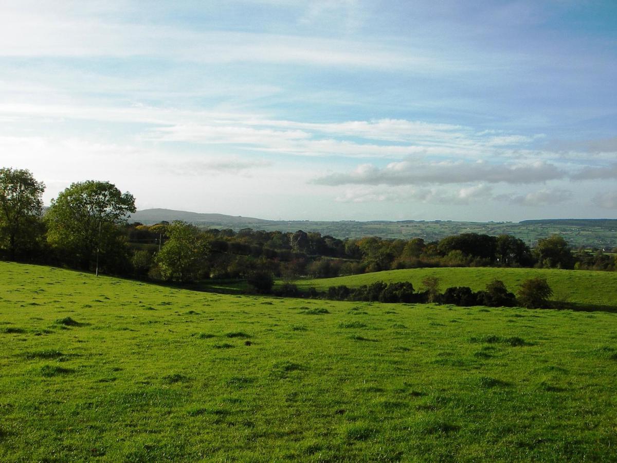 Ballylagan Organic Farm Straid (Antrim) Exterior foto