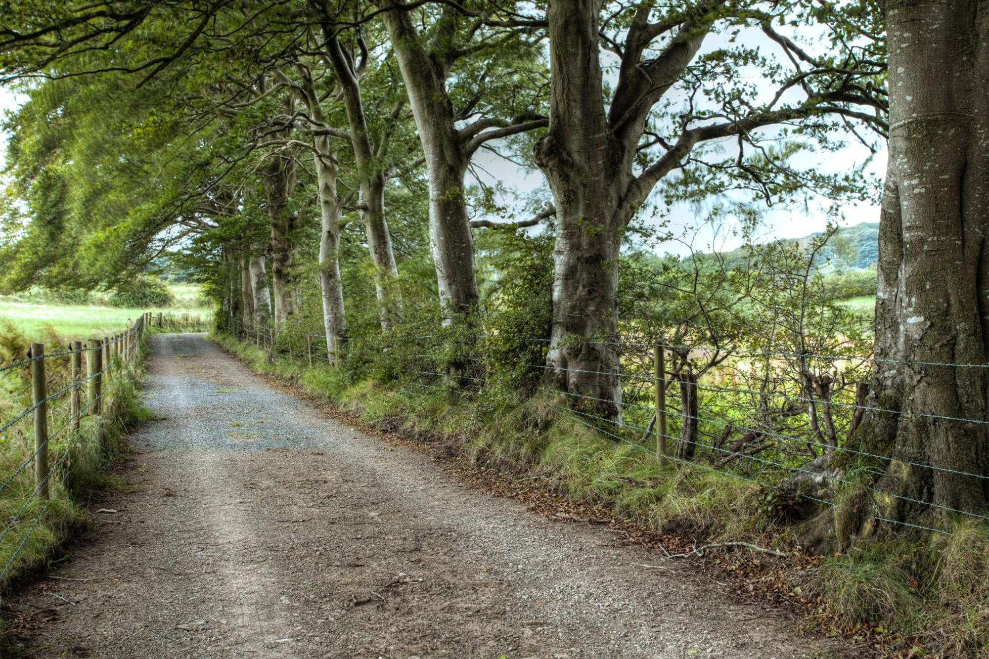 Ballylagan Organic Farm Straid (Antrim) Quarto foto