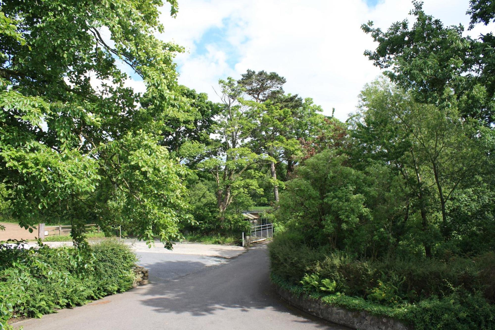 Ballylagan Organic Farm Straid (Antrim) Exterior foto